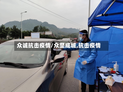 众诚抗击疫情/众至成城,抗击疫情