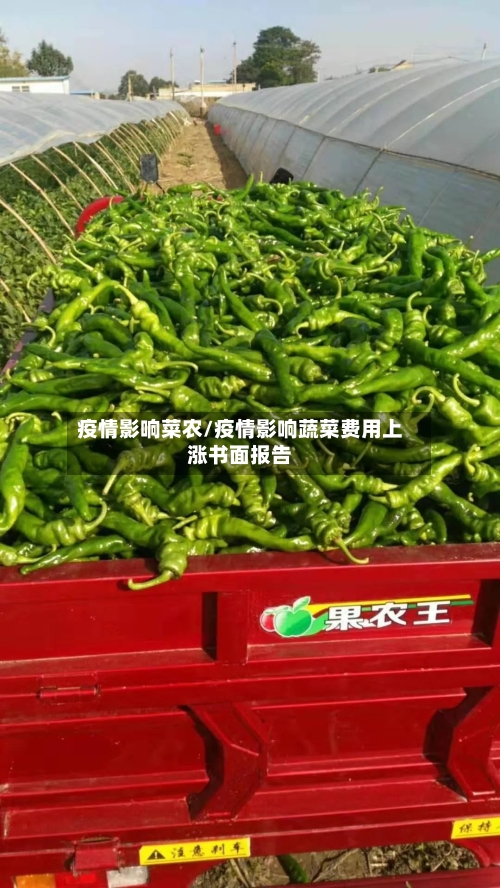 疫情影响菜农/疫情影响蔬菜费用上涨书面报告