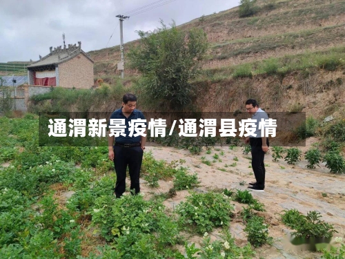 通渭新景疫情/通渭县疫情