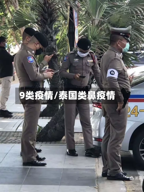 9类疫情/泰国类鼻疫情