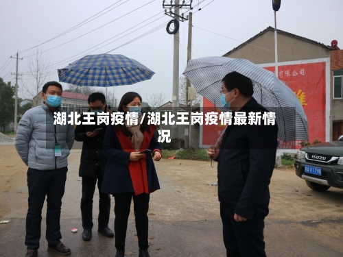 湖北王岗疫情/湖北王岗疫情最新情况