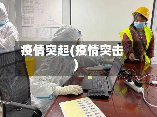 疫情突起(疫情突击)-第3张图片