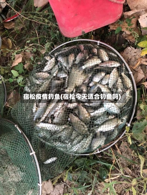 宿松疫情钓鱼(宿松今天适合钓鱼吗)-第2张图片