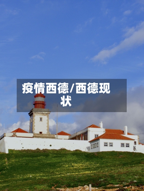 疫情西德/西德现状