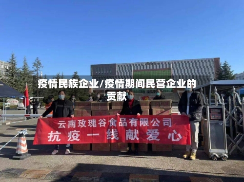 疫情民族企业/疫情期间民营企业的贡献