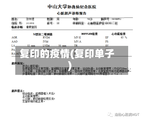 复印的疫情(复印单子)