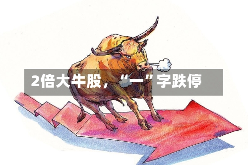 2倍大牛股，“一	”字跌停-第3张图片