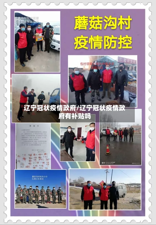辽宁冠状疫情政府/辽宁冠状疫情政府有补贴吗