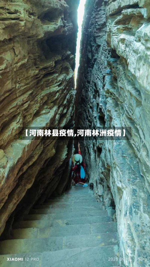 【河南林县疫情,河南林洲疫情】