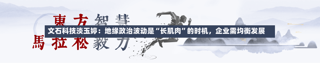 文石科技淡玉婷：地缘政治波动是“长肌肉”的时机，企业需均衡发展-第3张图片