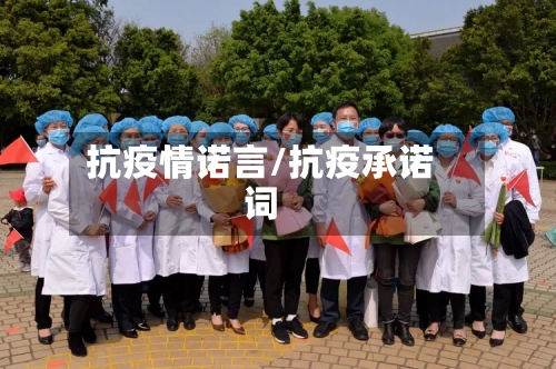 抗疫情诺言/抗疫承诺词-第3张图片