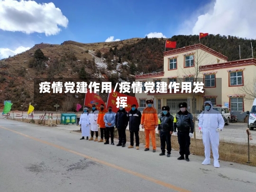 疫情党建作用/疫情党建作用发挥-第2张图片