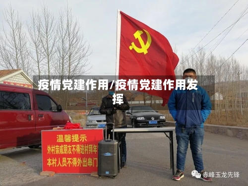 疫情党建作用/疫情党建作用发挥