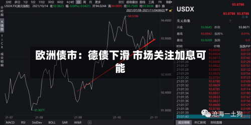 欧洲债市:德债下滑 市场关注加息可能-第3张图片