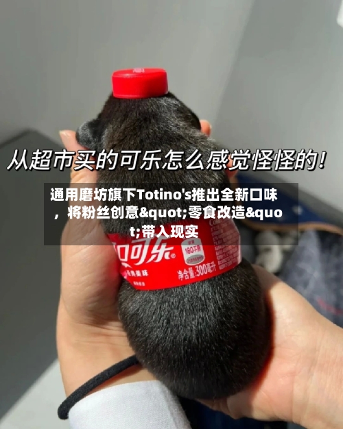 通用磨坊旗下Totino's推出全新口味，将粉丝创意"零食改造"带入现实