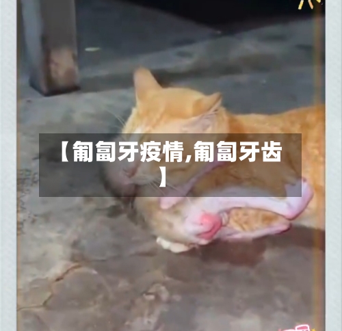 【匍匐牙疫情,匍匐牙齿】-第3张图片
