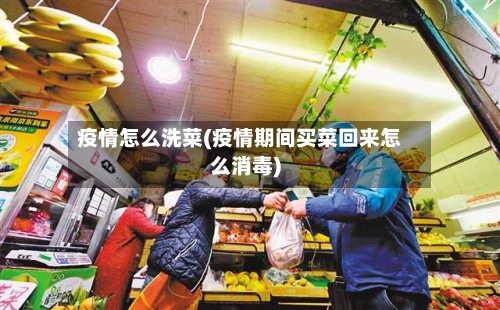 疫情怎么洗菜(疫情期间买菜回来怎么消毒)