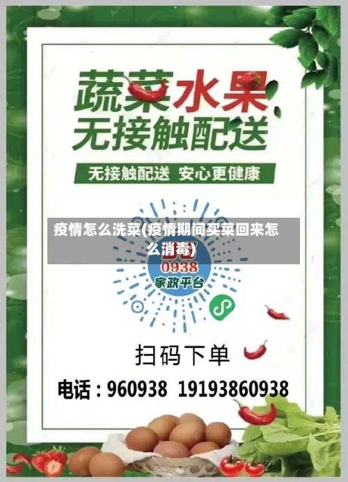 疫情怎么洗菜(疫情期间买菜回来怎么消毒)-第2张图片