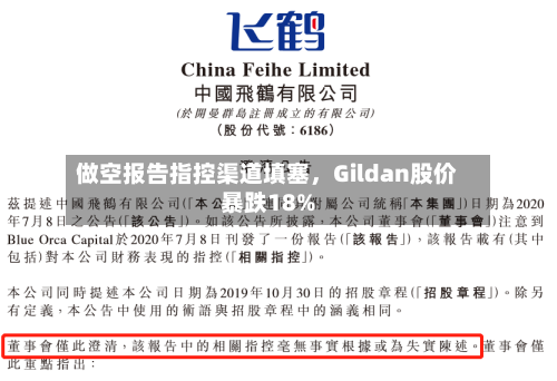 做空报告指控渠道填塞，Gildan股价暴跌18%