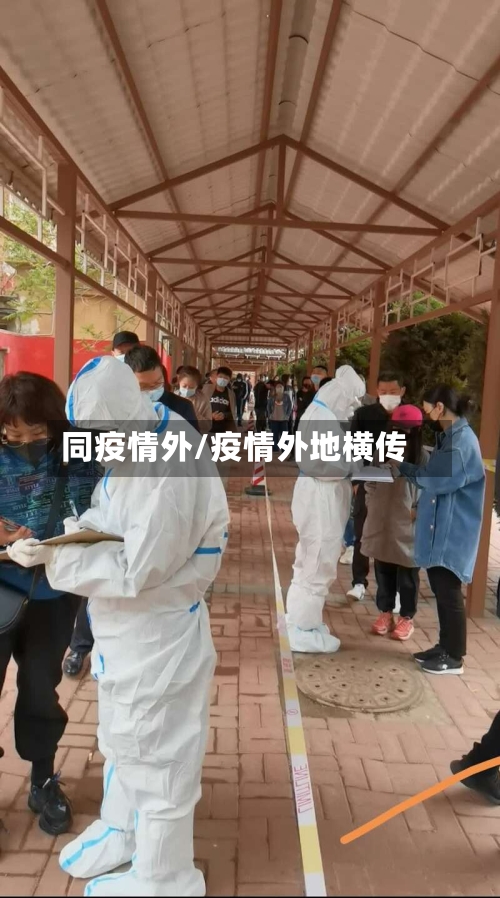 同疫情外/疫情外地横传
