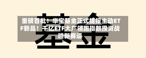 重磅首批!华宝基金正式提报主动ETF新品!千亿ETF大厂领跑指数投资战略新赛道-第3张图片