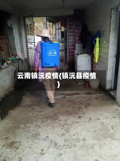 云南镇沅疫情(镇沅县疫情)