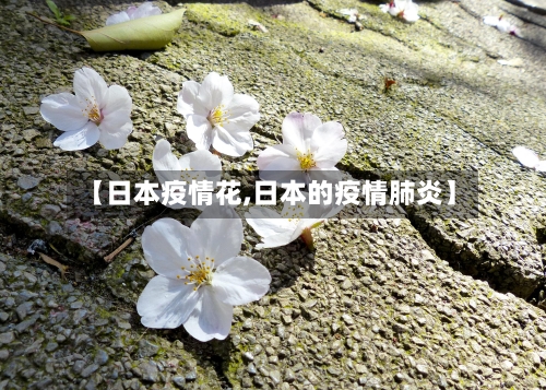 【日本疫情花,日本的疫情肺炎】-第2张图片