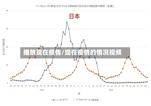 播放现在疫情/现在疫情的情况视频-第3张图片