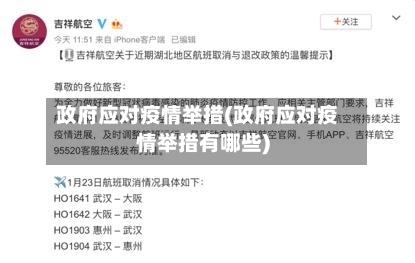 政府应对疫情举措(政府应对疫情举措有哪些)-第2张图片