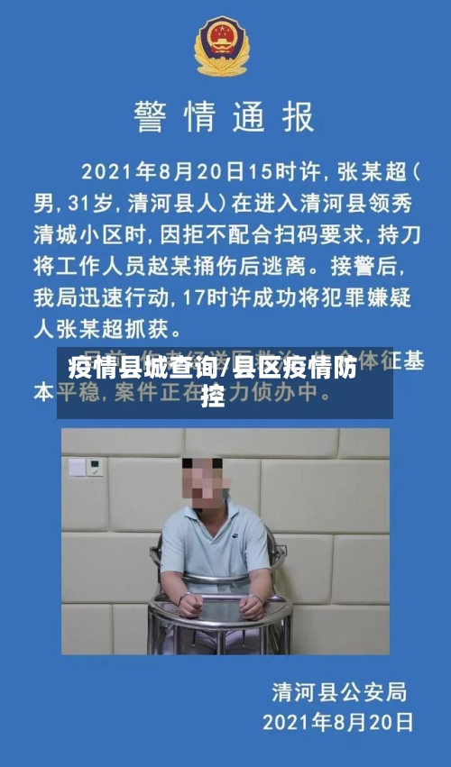 疫情县城查询/县区疫情防控