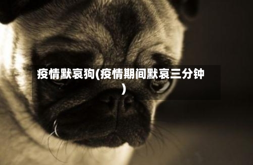 疫情默哀狗(疫情期间默哀三分钟)