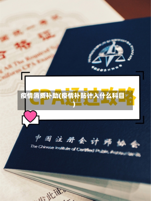 疫情消费补助(疫情补贴计入什么科目)-第2张图片
