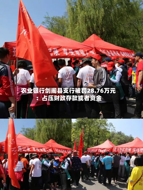 农业银行剑阁县支行被罚28.76万元：占压财政存款或者资金