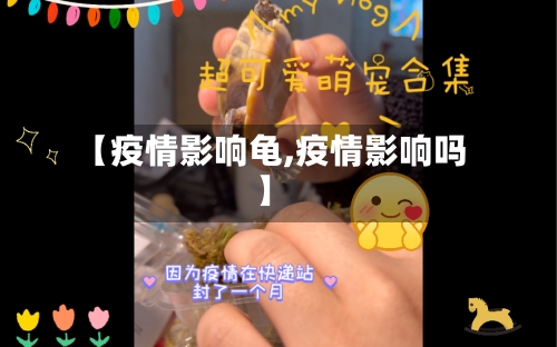 【疫情影响龟,疫情影响吗】-第3张图片