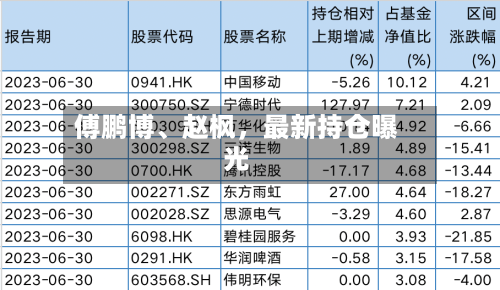 傅鹏博、赵枫	，最新持仓曝光-第2张图片