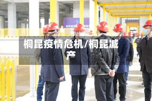 桐昆疫情危机/桐昆减产-第2张图片