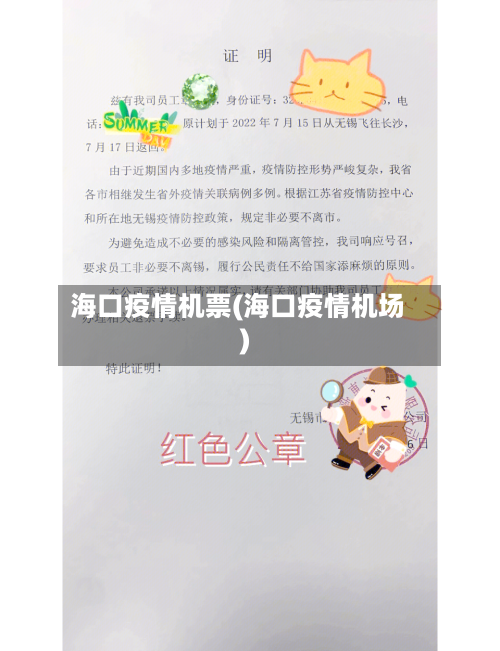 海口疫情机票(海口疫情机场)