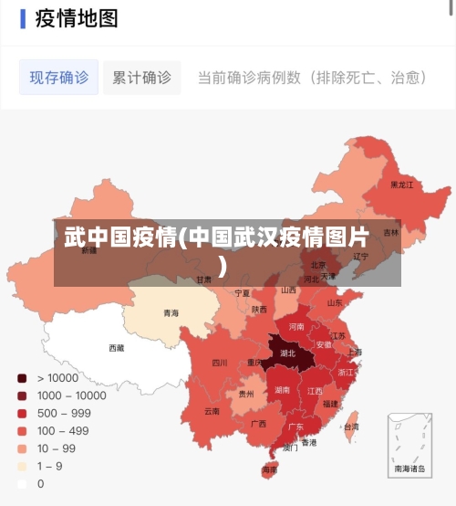 武中国疫情(中国武汉疫情图片)