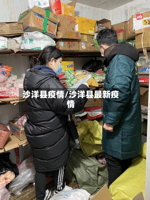 沙洋县疫情/沙洋县最新疫情-第3张图片