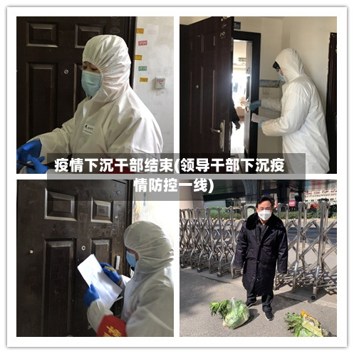 疫情下沉干部结束(领导干部下沉疫情防控一线)-第3张图片