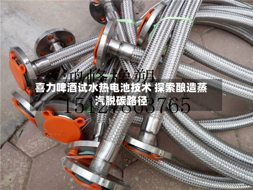 喜力啤酒试水热电池技术 探索酿造蒸汽脱碳路径