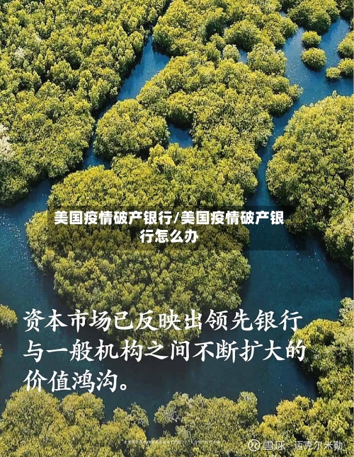 美国疫情破产银行/美国疫情破产银行怎么办