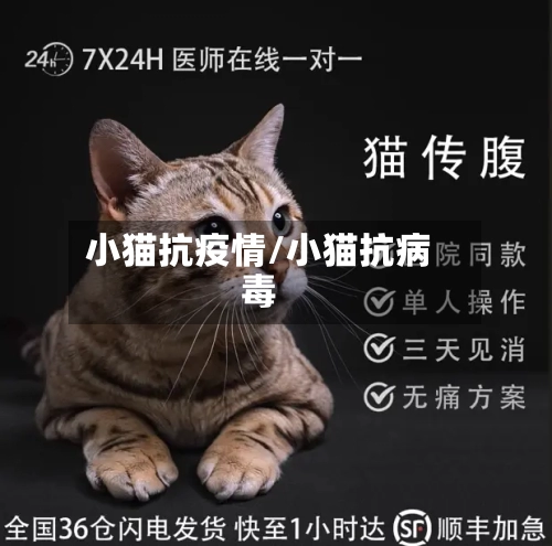 小猫抗疫情/小猫抗病毒