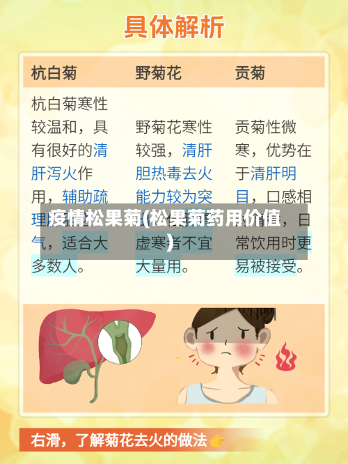 疫情松果菊(松果菊药用价值)-第3张图片