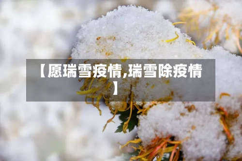 【愿瑞雪疫情,瑞雪除疫情】-第3张图片
