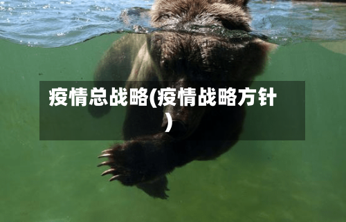 疫情总战略(疫情战略方针)-第3张图片