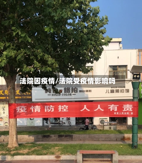 法院因疫情/法院受疫情影响吗