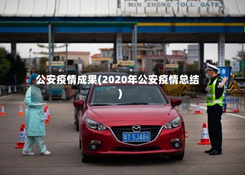 公安疫情成果(2020年公安疫情总结)-第3张图片