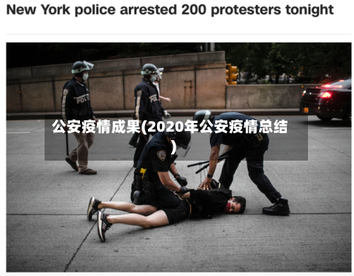 公安疫情成果(2020年公安疫情总结)-第2张图片