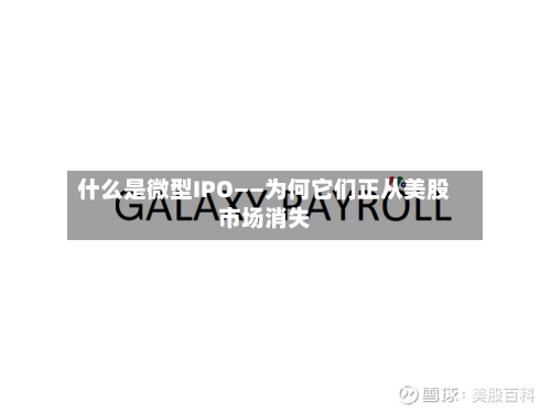 什么是微型IPO——为何它们正从美股市场消失-第3张图片
